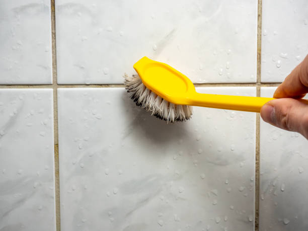 Best Affordable Mold Removal  in North Highlands, CA
