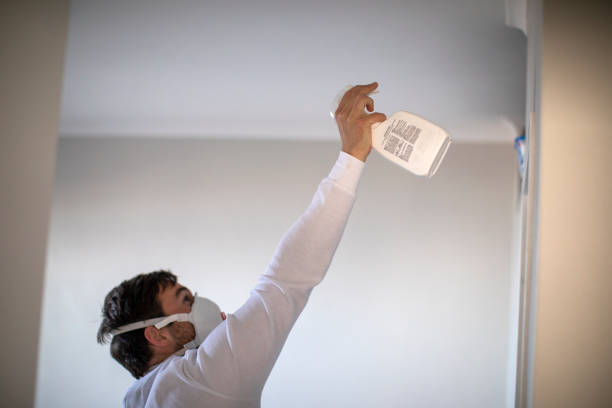 Best Home Mold Removal  in North Highlands, CA