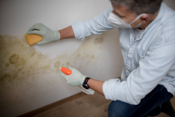 Best Crawl Space Mold Removal  in North Highlands, CA